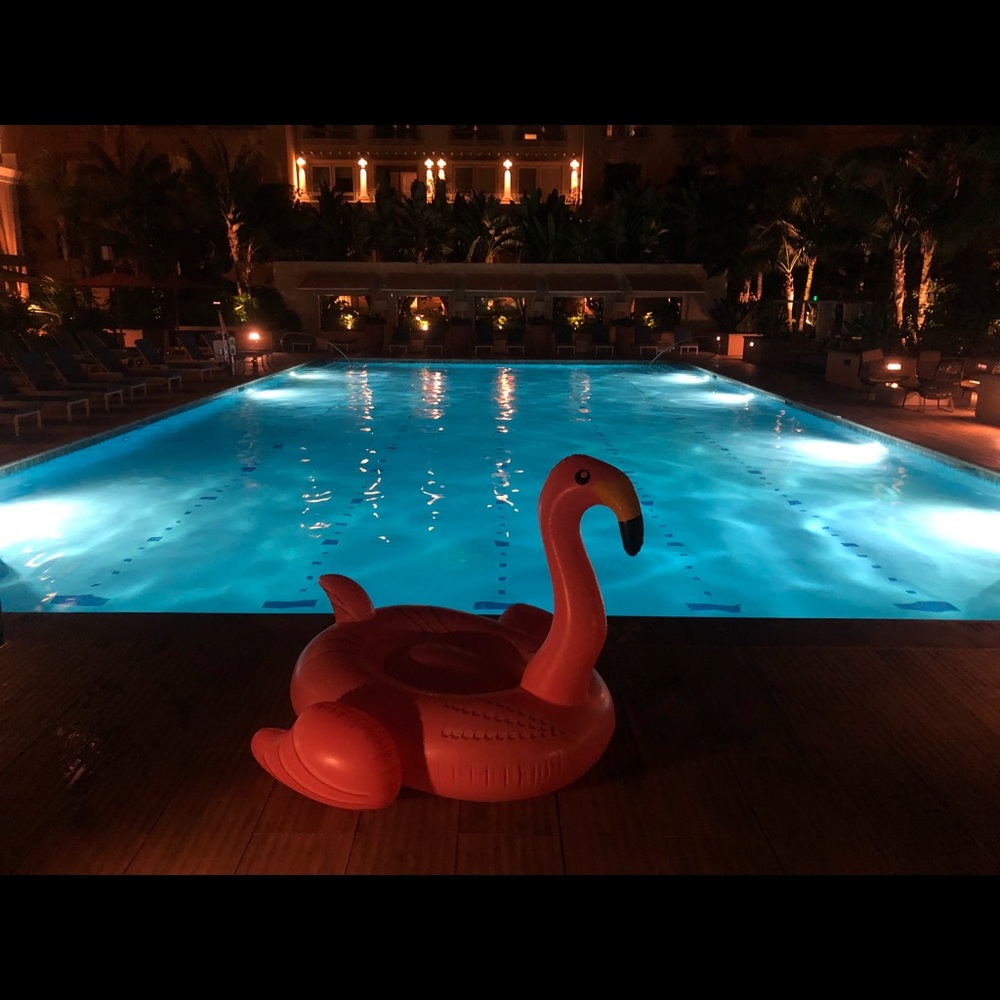 Meet your Posher, Amy